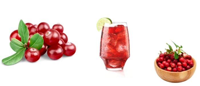 Does cranberry juice lower cholesterol